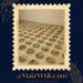 Exposición gráfica '@MaizMail.com' de Amy Landa Maya-Morelia Informativo