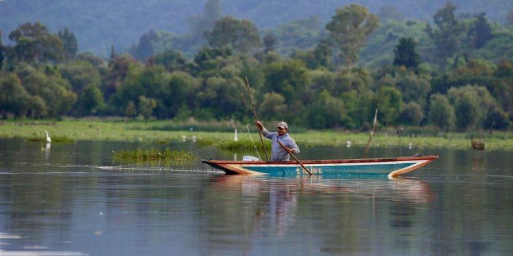 Recuperadas en un año 334 hectáreas de superficie del lago de Pátzcuaro: Bedolla