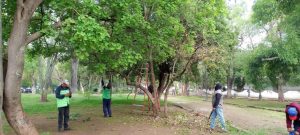 Cuidado de espacios verdes: Ayuntamiento de Morelia-Morelia Informativo2