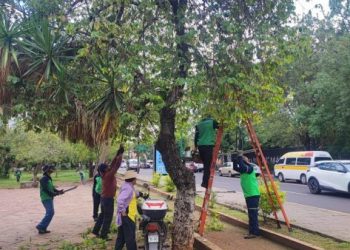Cuidado de espacios verdes: Ayuntamiento de Morelia-Morelia Informativo