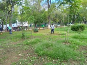 Cuidado de espacios verdes: Ayuntamiento de Morelia-Morelia Informativo1