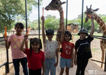 Día de Aula Viva: ZooMorelia-Morelia Informativo