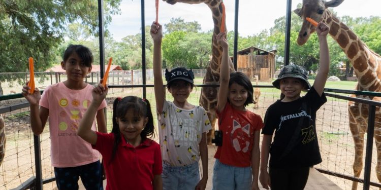 Día de Aula Viva: ZooMorelia-Morelia Informativo