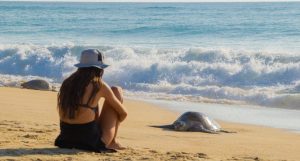 Vacaciones de verano en Michoacán: Sectur-Morelia Informativo2