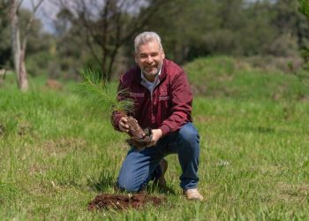 Viveros del estado con producción histórica de plantas para reforestar: Bedolla