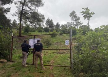 Predio asegurado en Erongarícuaro: FGE-Morelia Informativo