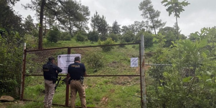 Predio asegurado en Erongarícuaro: FGE-Morelia Informativo