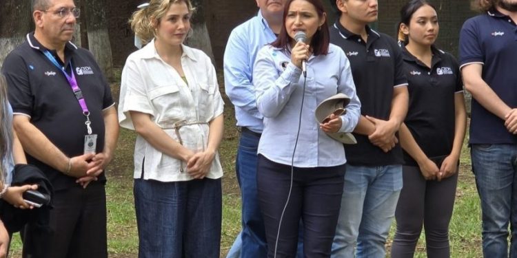 'Discapicnic 2025'-Morelia Informativo