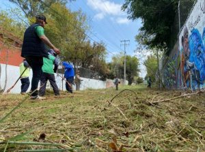 Jornadas de limpieza en Los Pinos: Gobierno de Morelia-Morelia Informativo2