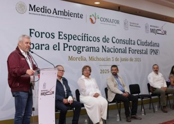 Ante reconocimiento, desde Michoacán se construye el Programa Nacional Forestal