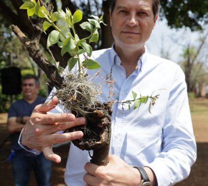 Arranca Alfonso Martínez 2da Etapa de recuperación de árboles