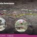 Ampliación de av. Amalia Solórzano, obra que impacta en la educación: Gladyz Butanda