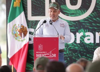 Por aire se lanzarán semillas para reforestar 50 mil has de bosques: Bedolla