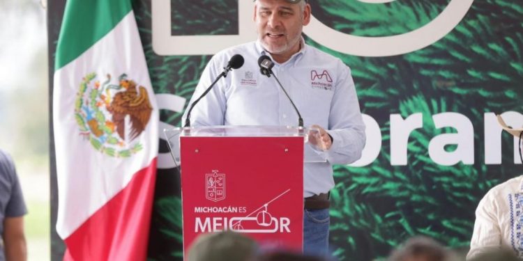 Por aire se lanzarán semillas para reforestar 50 mil has de bosques: Bedolla