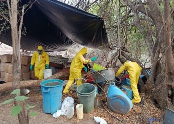 Asegurados 843 kg de drogas en laboratorio clandestino de Aquila: SSP