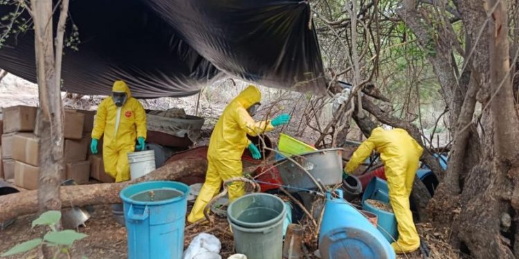 Asegurados 843 kg de drogas en laboratorio clandestino de Aquila: SSP