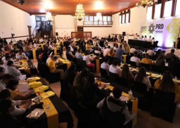 PRD Michoacán celebra resolución del IEM que avala su legalidad y estructura