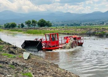 Rescate del canal de Erongarícuaro revitaliza ecosistema y economía local: Compesca