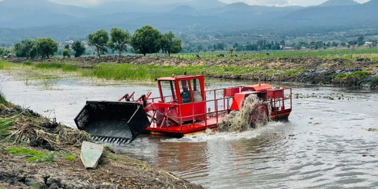 Rescate del canal de Erongarícuaro revitaliza ecosistema y economía local: Compesca