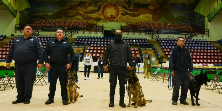 Guardia Civil da seguridad a aspirantes de la UMSNH durante examen de admisión