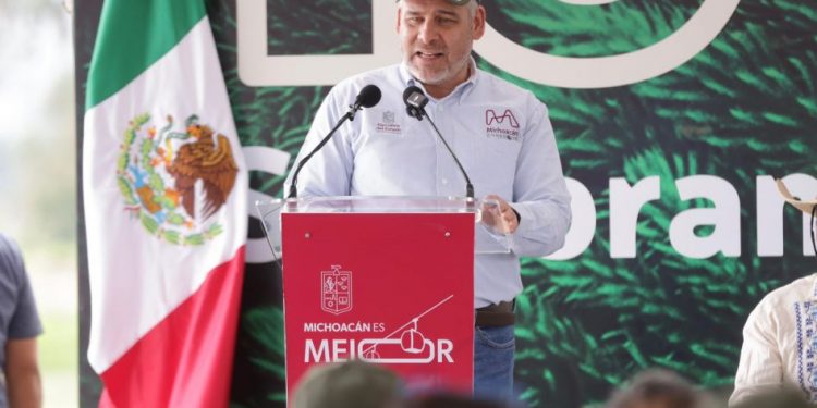 En julio inicia dispersión aérea de 200 mil semillas para reforestar: Bedolla