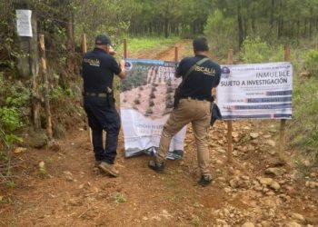 Cumplimenta FGE cateo en predio relacionado con tala y cultivo ilegal de aguacate en Salvador Escalante