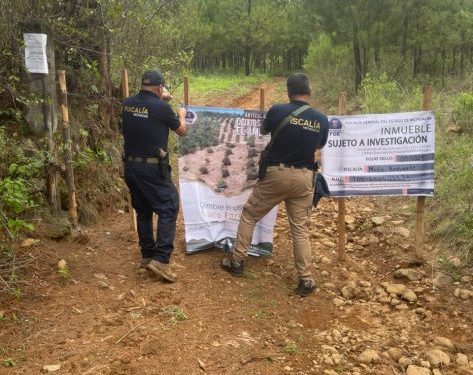 Cumplimenta FGE cateo en predio relacionado con tala y cultivo ilegal de aguacate en Salvador Escalante