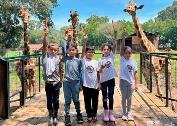 Disfruta un verano de aventura en el Zoológico de Morelia