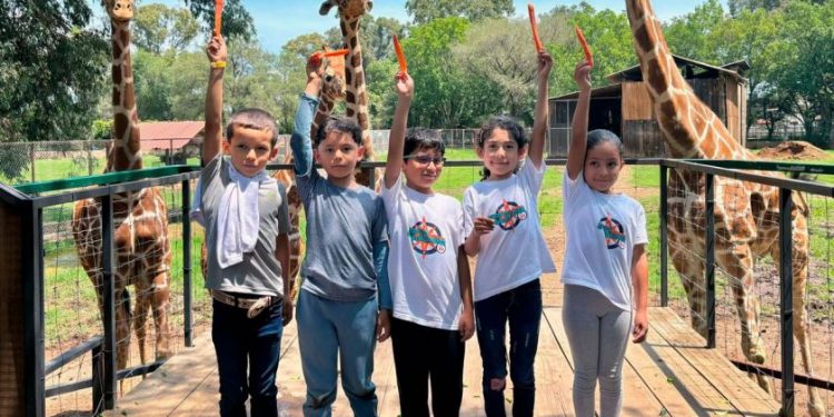 Disfruta un verano de aventura en el Zoológico de Morelia