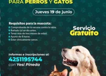 Jornadas de esterilización gratuitas para perros y gatos en Caltzontzin y Tomendán: SSM