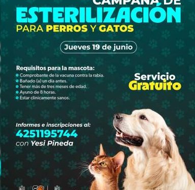 Jornadas de esterilización gratuitas para perros y gatos en Caltzontzin y Tomendán: SSM