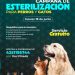 Jornadas de esterilización gratuitas para perros y gatos en Caltzontzin y Tomendán: SSM