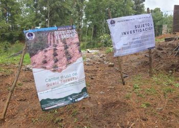 Cateo en precio detecta tala ilegal y cultivos no autorizados: FGE-Morelia Informativo