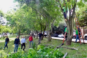 Jornada de limpieza en Av. Fray Antonio de San Miguel-Morelia Informativo