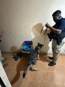 Cateos realizados en Morelia: FGE-Morelia Informativo