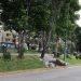 Jornada de limpieza devuelve la vida al Parque Lineal del Río Chiquito-Morelia Informativo