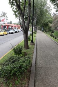 Jornada de limpieza devuelve la vida al Parque Lineal del Río Chiquito-Morelia Informativo 