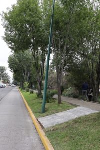 Jornada de limpieza devuelve la vida al Parque Lineal del Río Chiquito-Morelia Informativo 