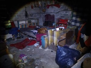 Catea FGE domicilio y rescata a perro en condiciones de maltrato: SSP-Morelia Informativo