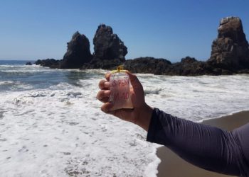 Playas de Michoacán aptas para su uso recreativo en este Verano: SSM-Morelia Informativo