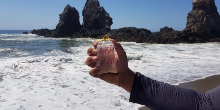 Playas de Michoacán aptas para su uso recreativo en este Verano: SSM-Morelia Informativo
