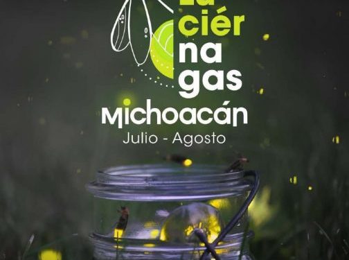Disfruta la magia de las luciérnagas este verano en Michoacán: Sectur