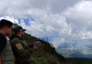Sembradas 24 mil semillas de árboles en Paracho y Uruapan: Cofom-Morelia Informativo