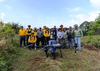 Sembradas 24 mil semillas de árboles en Paracho y Uruapan: Cofom-Morelia Informativo