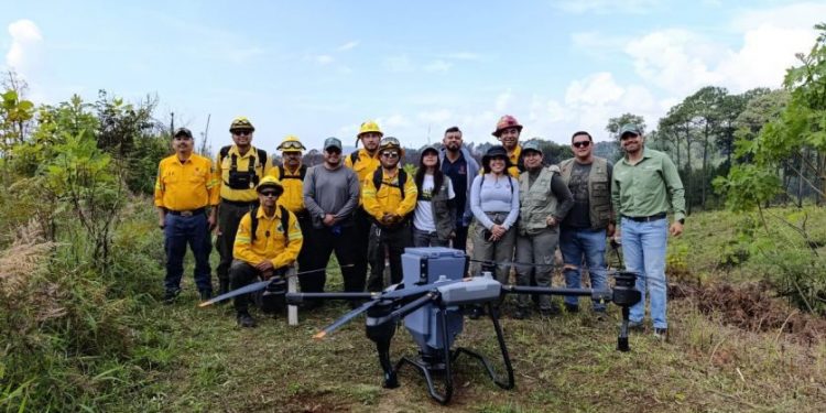 Sembradas 24 mil semillas de árboles en Paracho y Uruapan: Cofom-Morelia Informativo