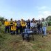 Sembradas 24 mil semillas de árboles en Paracho y Uruapan: Cofom-Morelia Informativo