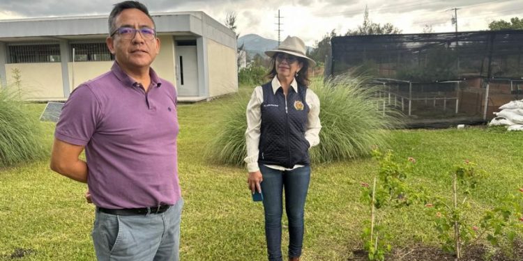 Proyecto "Jardín para polinizadores": INIRENA-Morelia Informativo