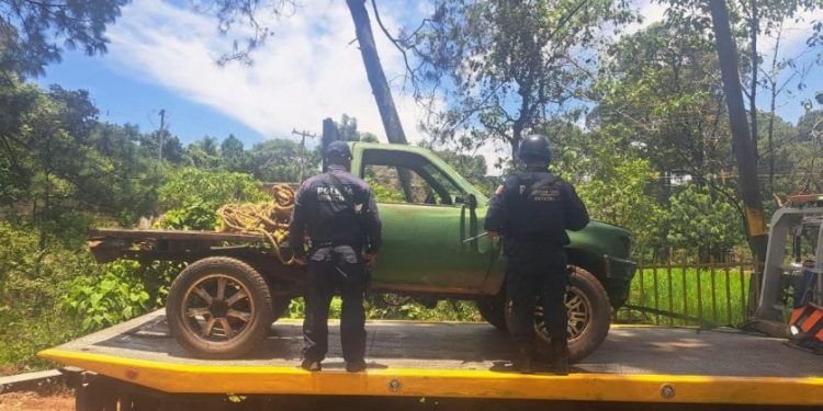 SSP asegura predio con más de 34 mil m³ afectados por tala ilegal en Uruapan