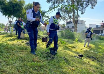 Jornada de Reforestación-Morelia Informativo