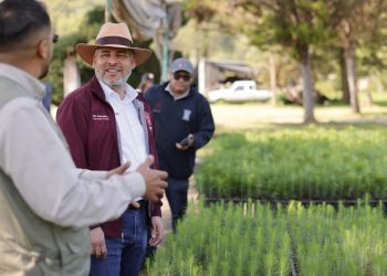 Para cuencas de ríos y lagos, 4 de cada 10 árboles plantados: Bedolla